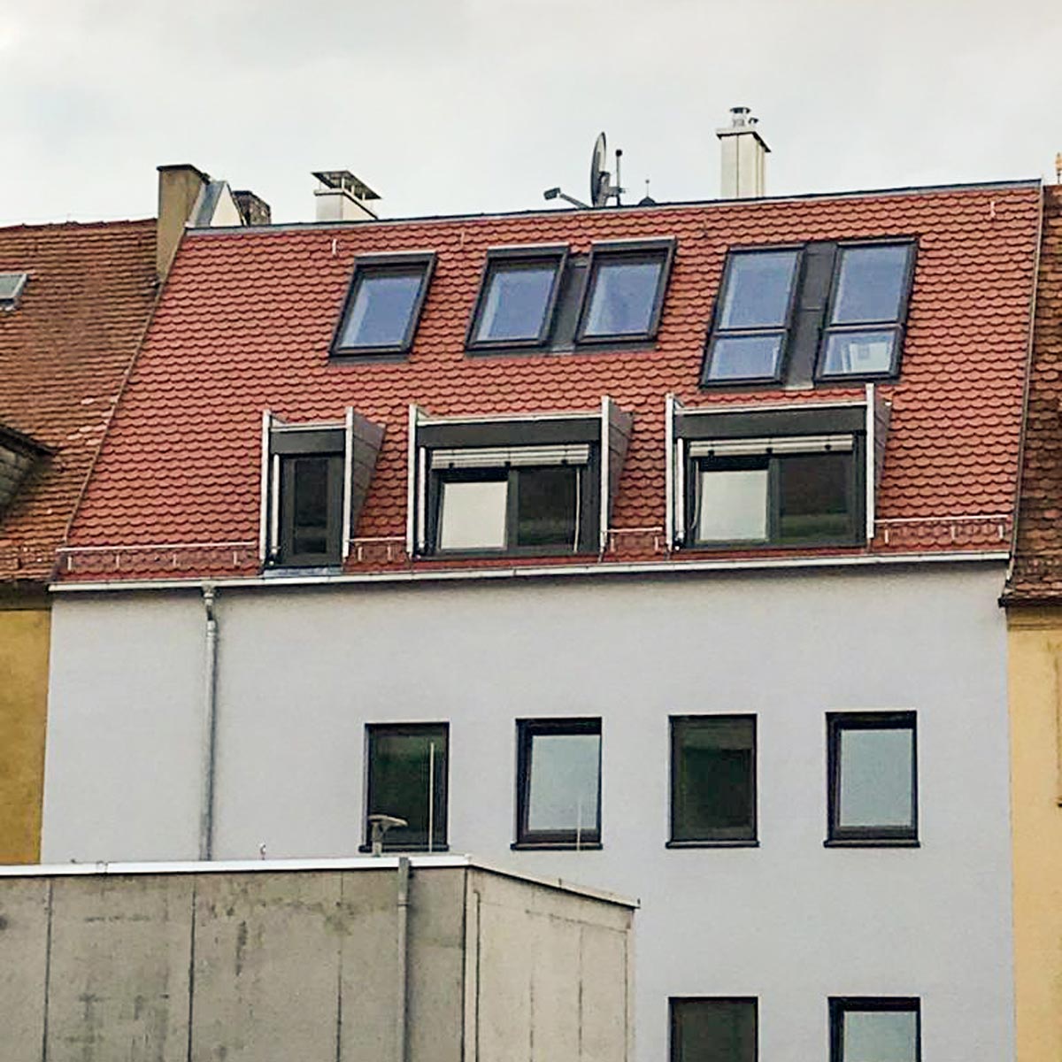 Komplette Dachsanierung 1